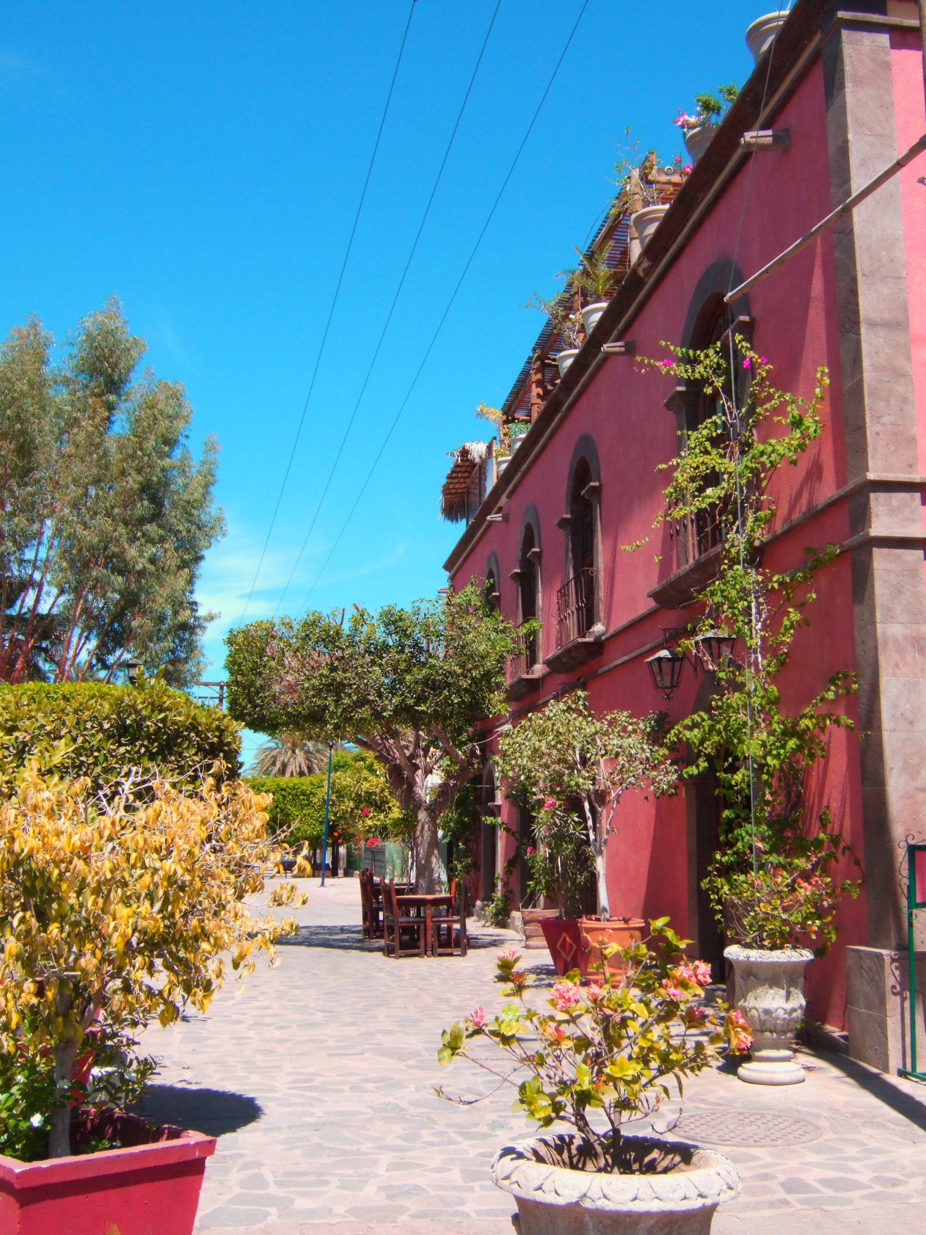 Posada de las Flores